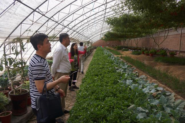 我公司領(lǐng)導(dǎo)一行赴北京、壽光考察學(xué)習(xí)現(xiàn)代農(nóng)業(yè)