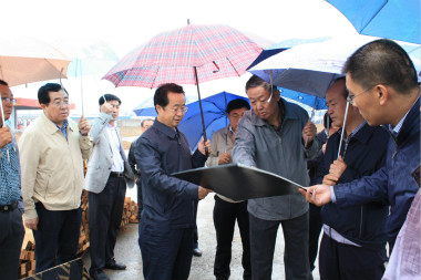 陸治原市長冒雨視察   市政工程進展順利