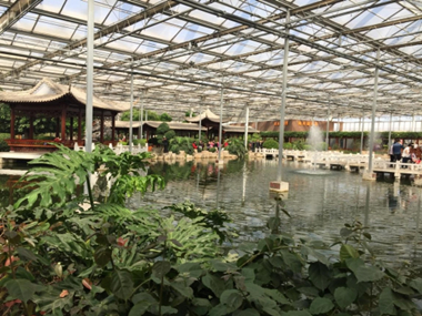 涇河新城項(xiàng)目相關(guān)領(lǐng)導(dǎo)赴各地考察調(diào)研設(shè)施農(nóng)業(yè)項(xiàng)目