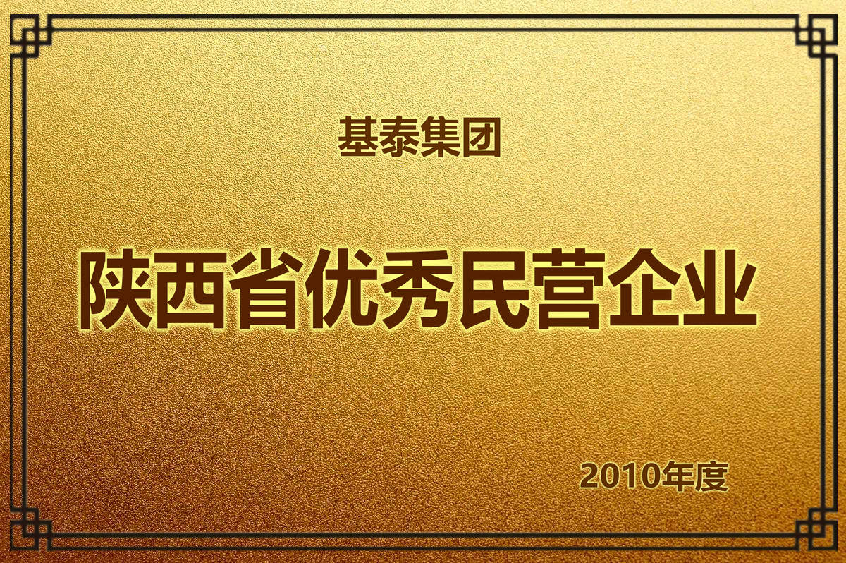 2010年度 陜西省優(yōu)秀民營企業(yè)