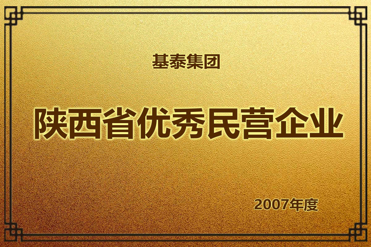2007年度 陜西省優(yōu)秀民營企業(yè)