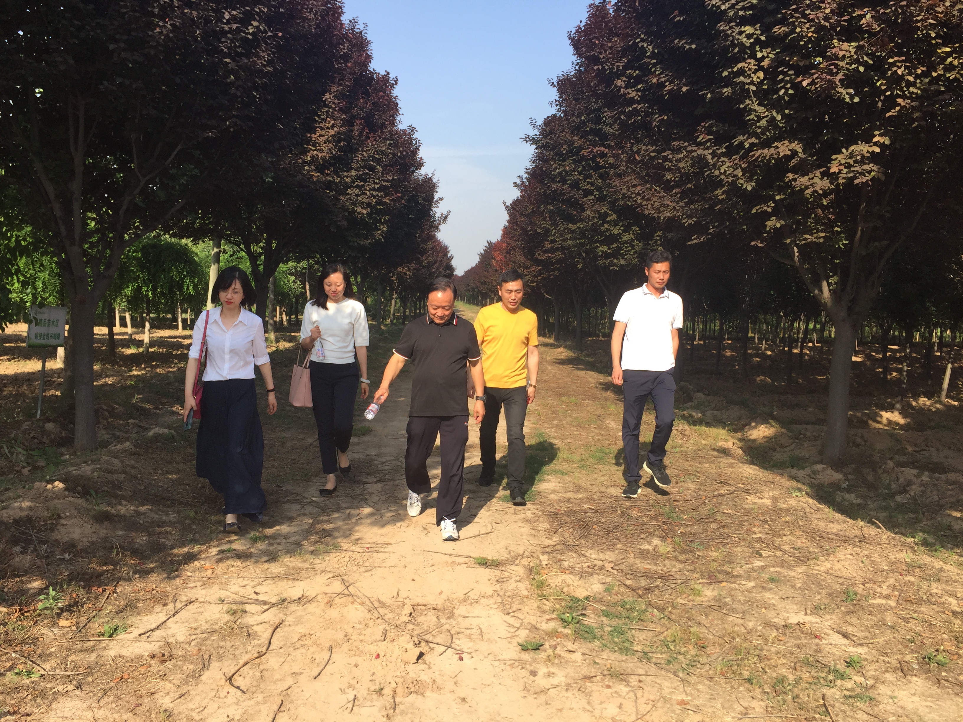 王新榮一行來集團(tuán)調(diào)研現(xiàn)代農(nóng)業(yè)項(xiàng)目