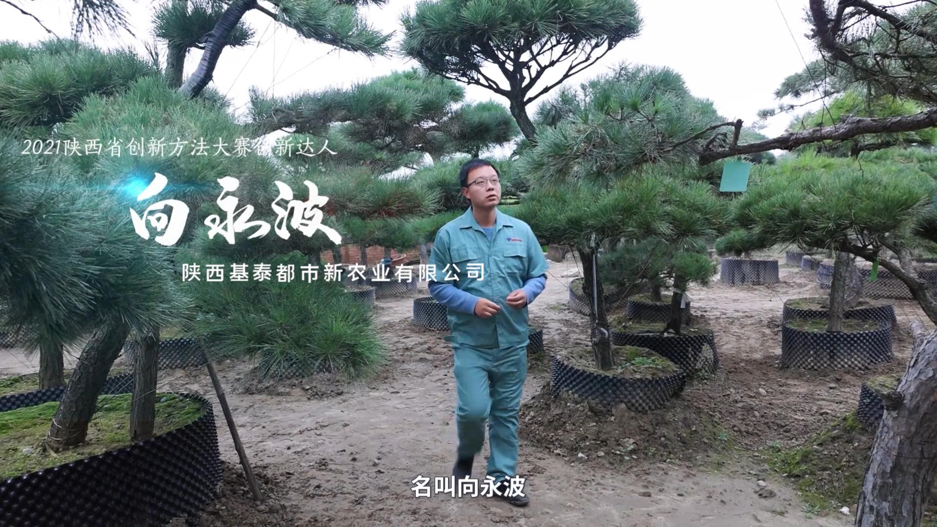 創(chuàng)新達(dá)人！