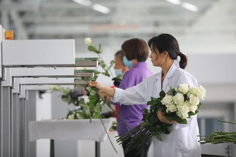 群眾新聞報(bào)道基泰園藝！