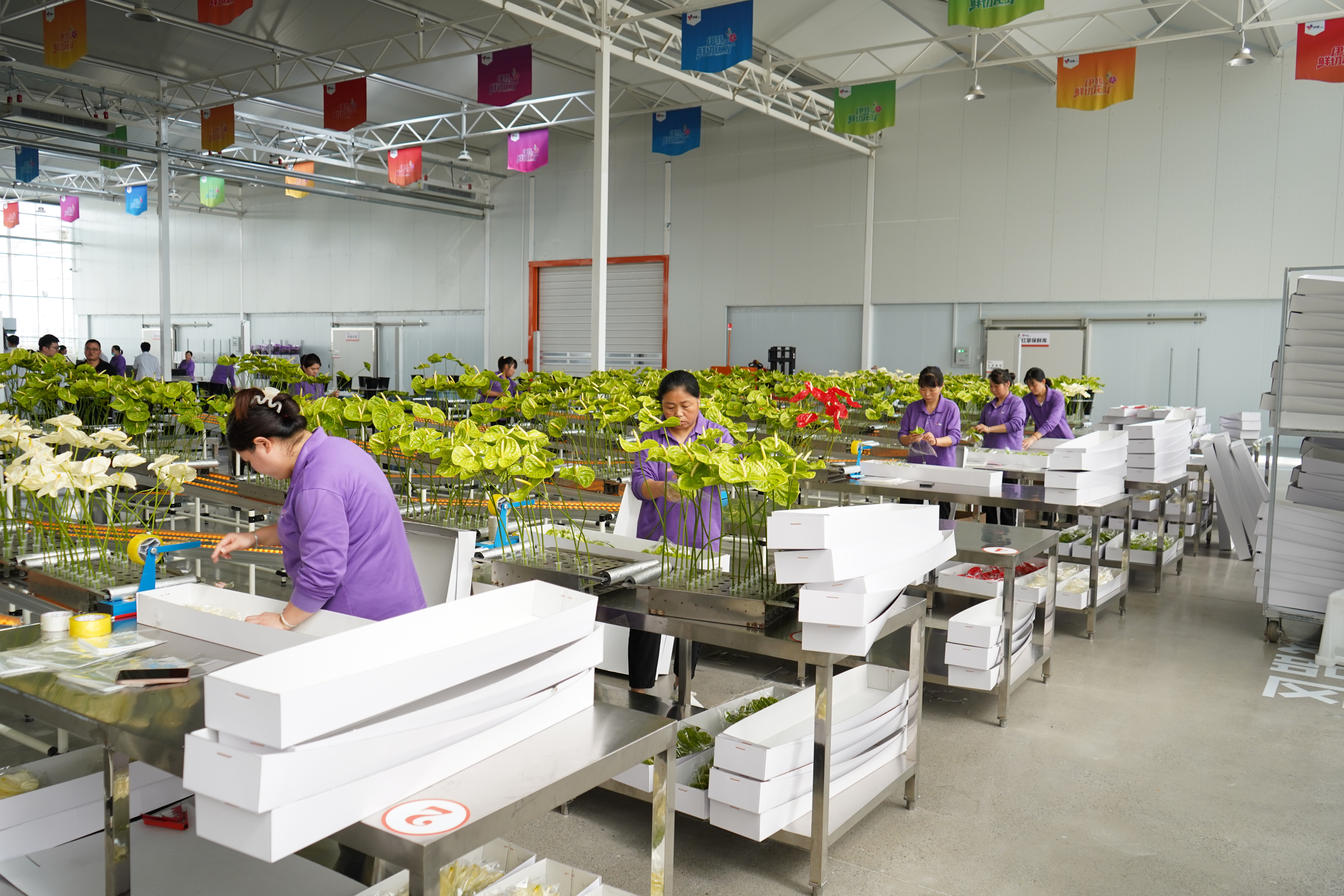 技能比試 以賽促學(xué)！